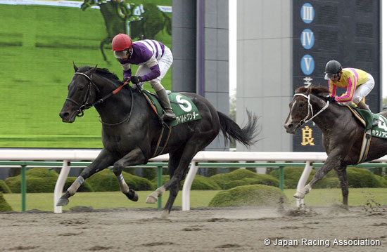 Antares Stakes (G3)