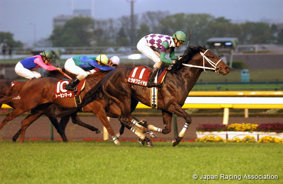 TV Tokyo Hai Aoba Sho (Japanese Derby Trial)