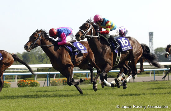 Tenno Sho (Spring) (G1)