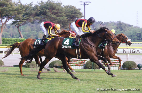 Niigata Daishoten