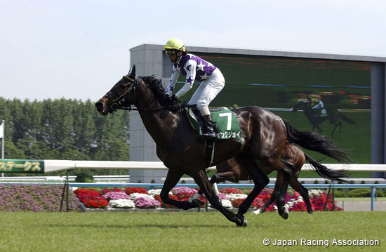 Kyoto Jump Stakes (J-G3)