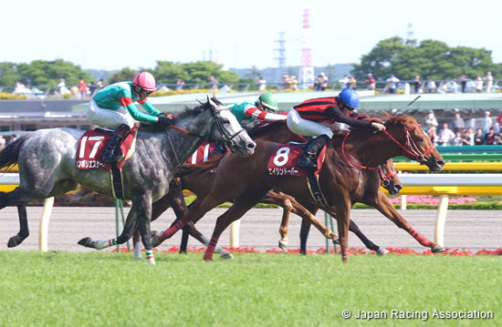 Keio Hai Spring Cup (G2)