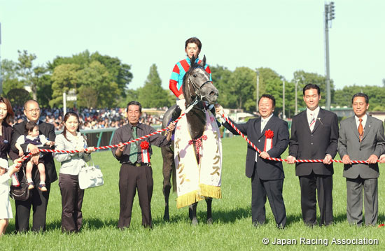 Yushun Himba (Japanese Oaks)
