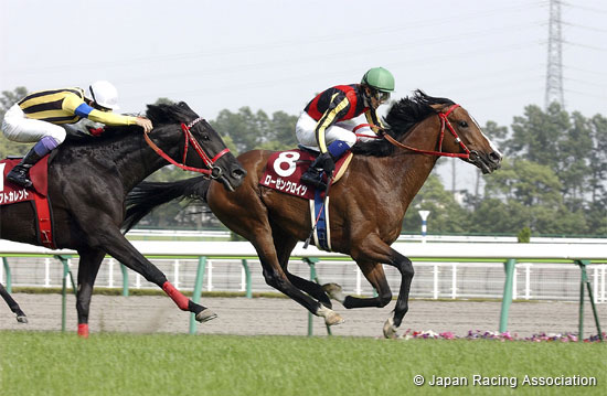 Kinko Sho (G2)