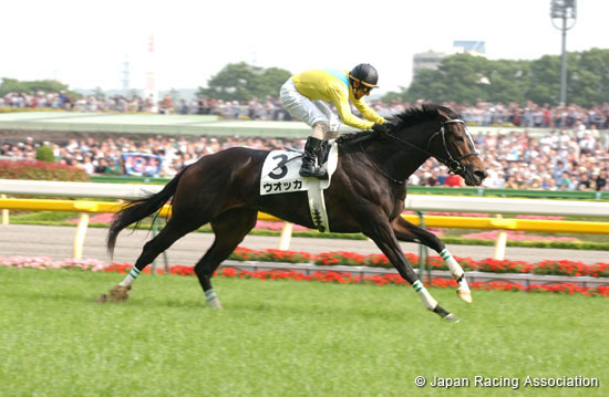Tokyo Yushun (Japanese Derby)