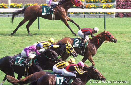 Epsom Cup (G3)