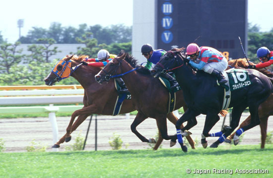 Hakodate Sprint Stakes