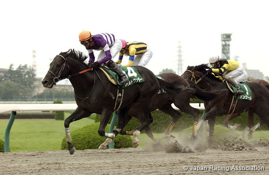 Procyon Stakes (G3)