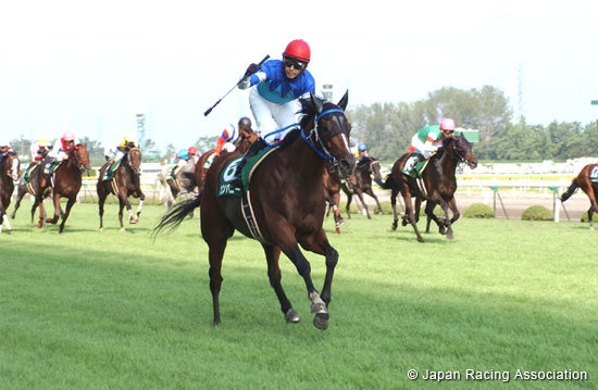 Sekiya Kinen (G3)