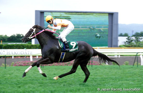 Hakodate Nisai Stakes