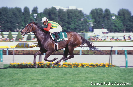 Hokkaido Shimbun Hai Queen Stakes