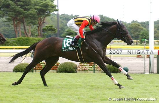 Niigata Kinen (G3)