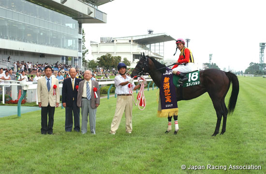 Niigata Kinen (G3)