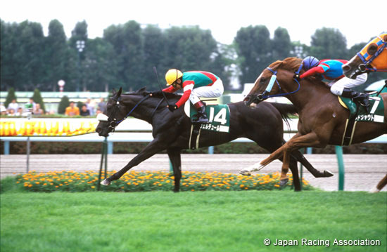 Keeneland Cup