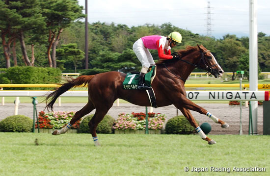 Niigata Jump Stakes (J-G3)