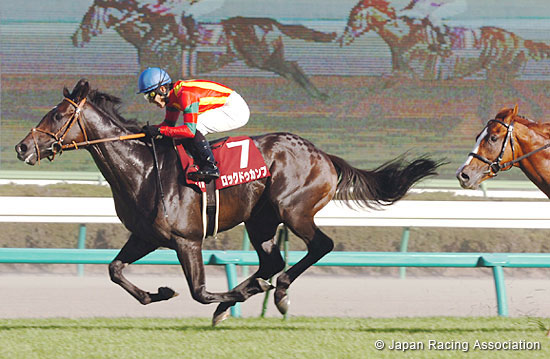 R. F. Radio Nippon Sho St. Lite Kinen  (Japanese St. Leger Trial)
