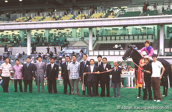 Elm Stakes