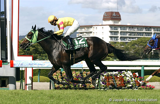 Hanshin Jump Stakes (J-G3)