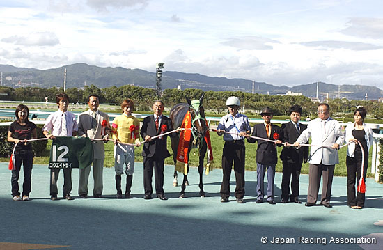 Hanshin Jump Stakes (J-G3)