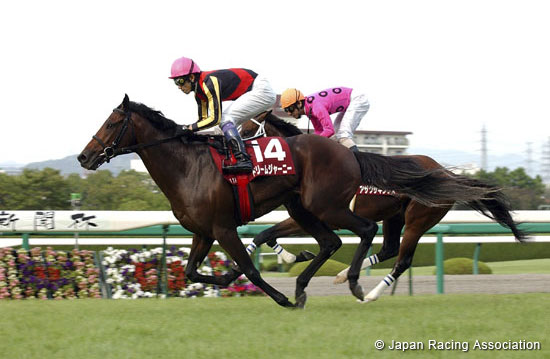 Kobe Shimbun Hai  (Japanese St. Leger Trial)