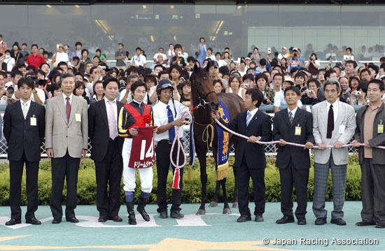 Kobe Shimbun Hai  (Japanese St. Leger Trial)