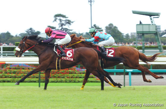 Sankei Sho All Comers (G2)