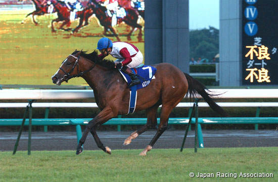 Sprinters Stakes (G1)