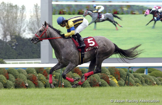 Daily Hai Nisai Stakes