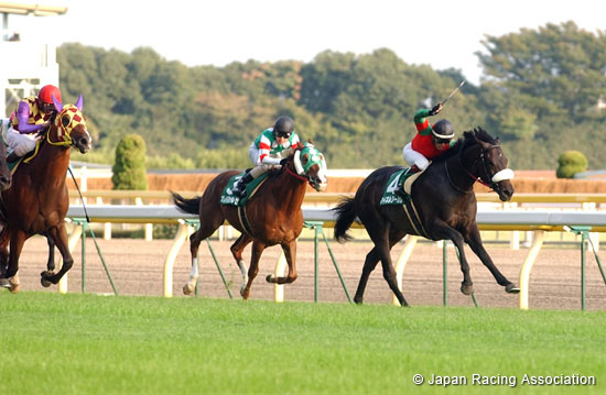 Saudi Arabia Royal Cup Fuji Stakes (G3)