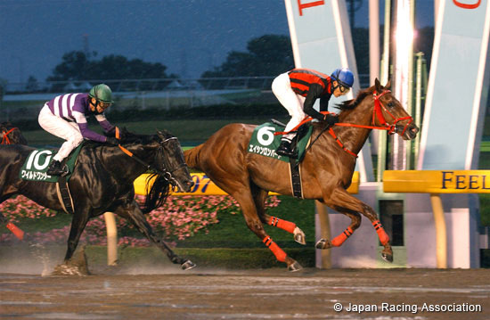 Tokyo Chunichi Sports Hai Musashino Stakes (G3)