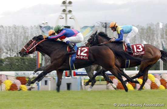 Mainichi Broadcast. Swan Stakes (G2)
