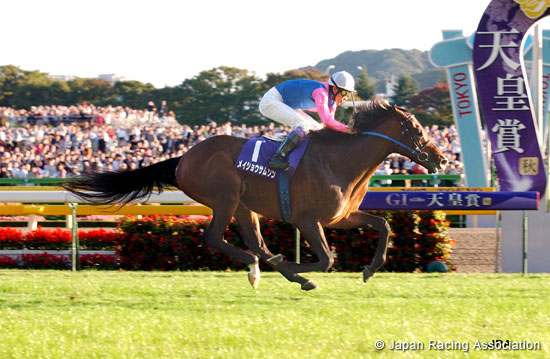 Tenno Sho (Autumn) (G1)