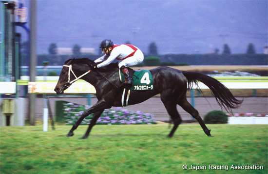 Fukushima Kinen