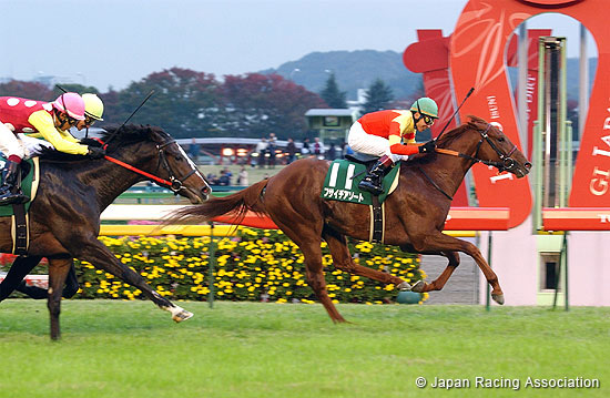 Tokyo Sports Hai Nisai Stakes