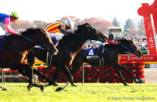 Japan Cup (International Invitational) (G1)