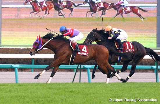 Sports Nippon Sho Stayers Stakes