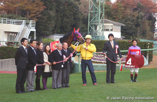 Sports Nippon Sho Stayers Stakes