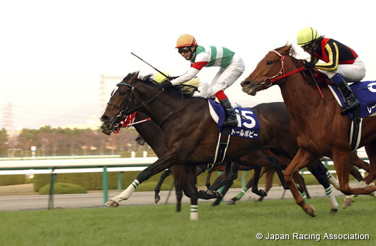 Hanshin Juvenile Fillies