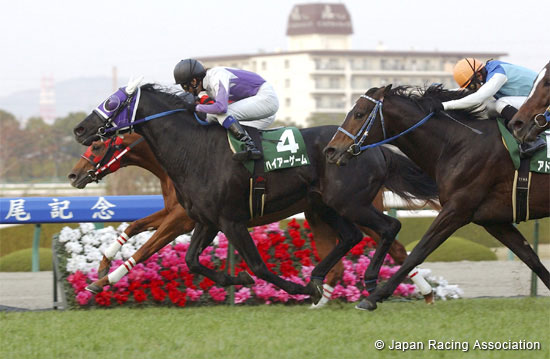 Naruo Kinen (G3)