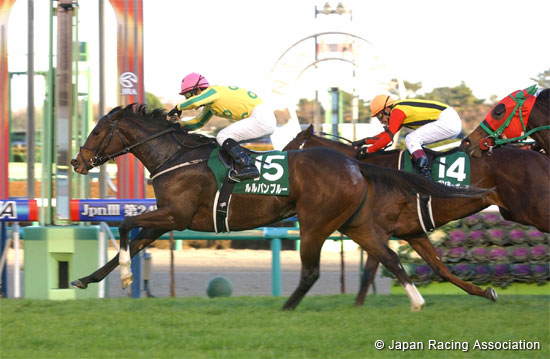 Fairy Stakes