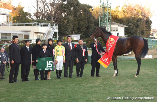Fairy Stakes