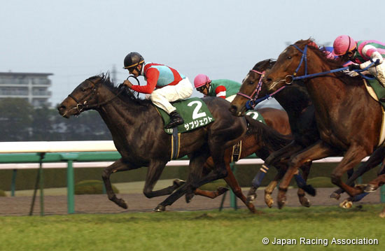 Radio Nikkei Hai Nisai Stakes