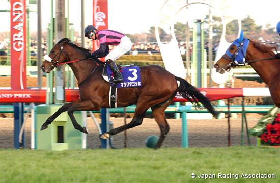 Arima Kinen (The Grand Prix) (G1)