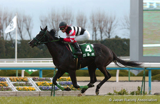 Nikkan Sports Sho Shinzan Kinen (G3)