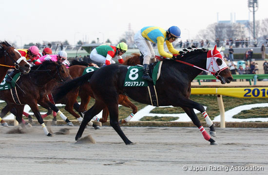 Negishi Stakes (G3)