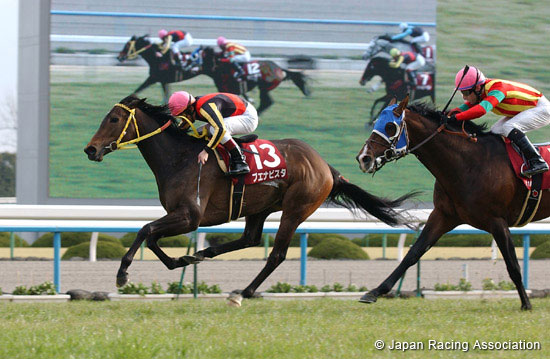 Kyoto Kinen (G2)