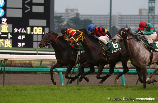 Yukan Fuji Sho Ocean Stakes (G3)