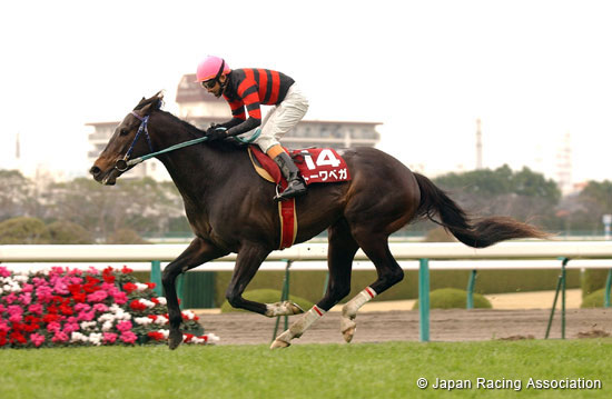 Hanshin Spring Jump (J-G2)