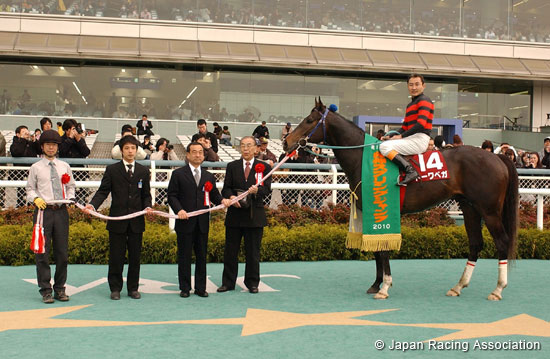 Hanshin Spring Jump (J-G2)