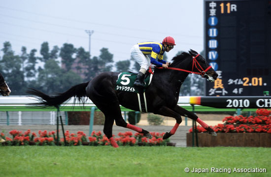 Toyota Sho Chukyo Kinen (G3)